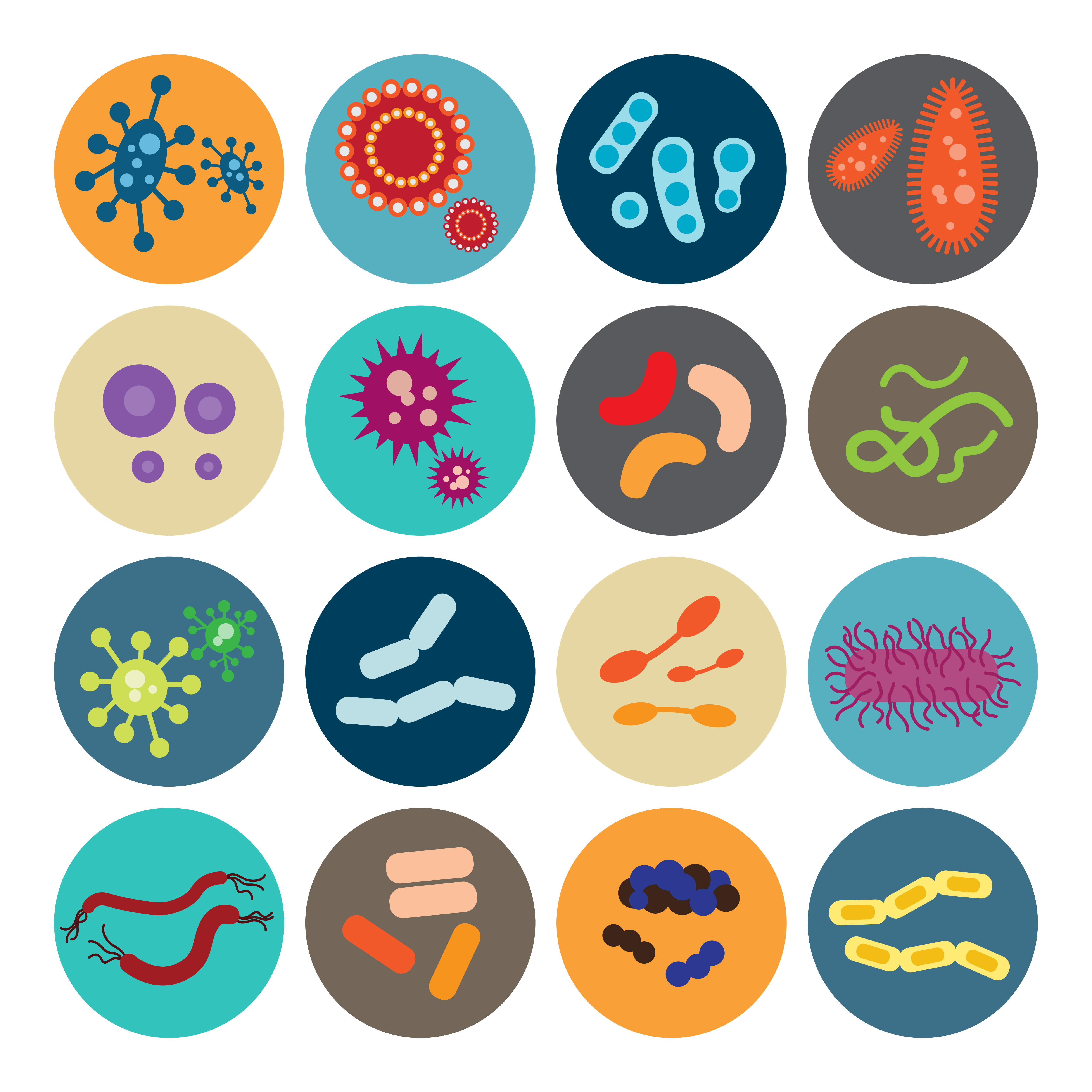 Antibiotic Resistance: An Ancient Challenge