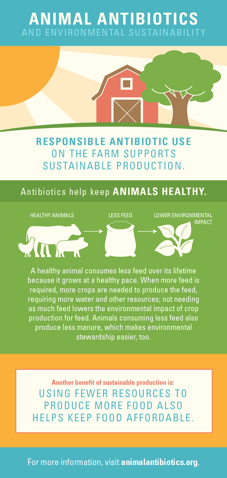 Antibiotics and Sustainability in Animals | Animal Antibiotics