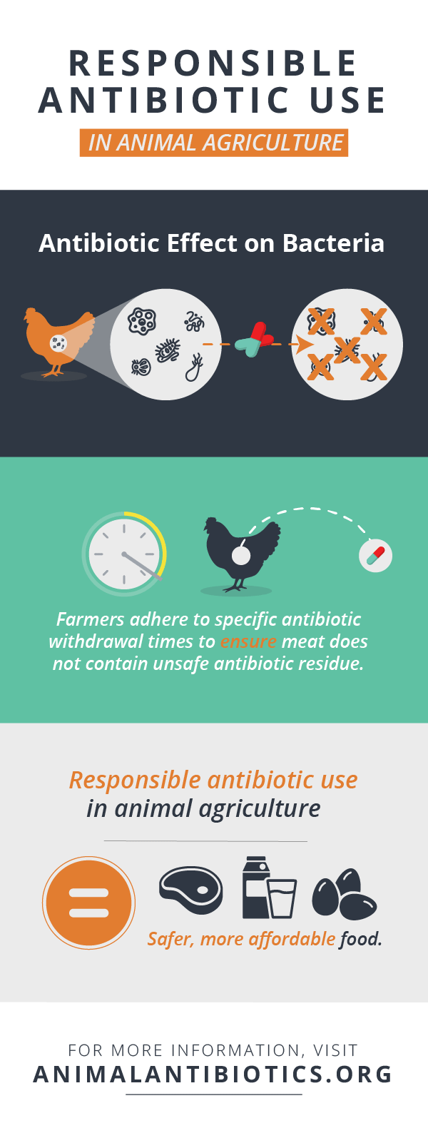 Antibiotics are Important to Food Safety | Explore Animal Health
