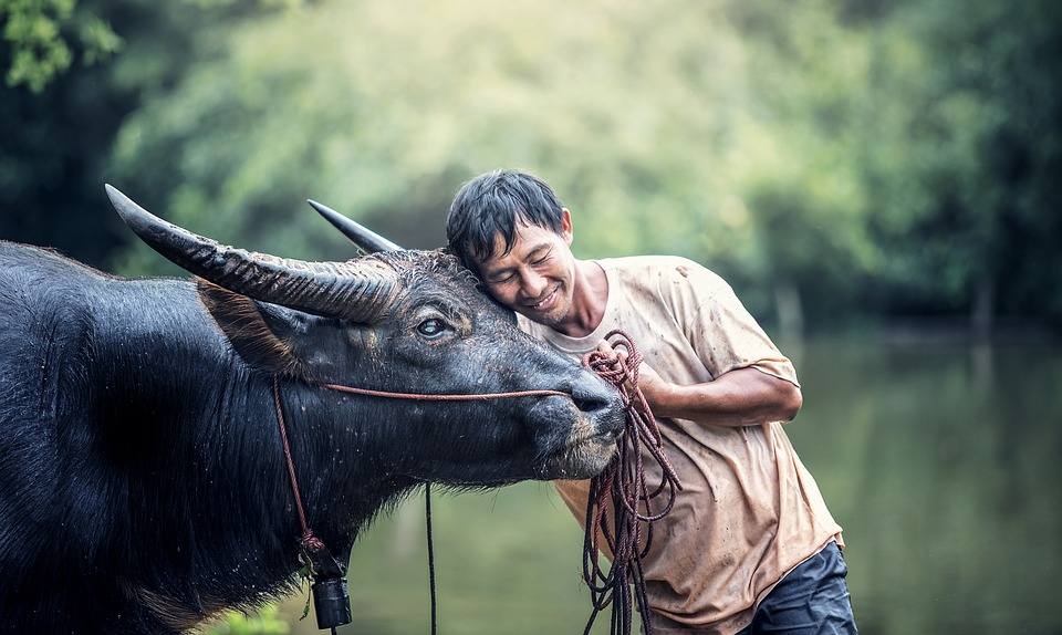 Livestock Farmers Help Meet Sustainable Development Goals