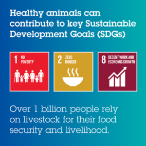 Healthy Animals Sustainable Development Goals