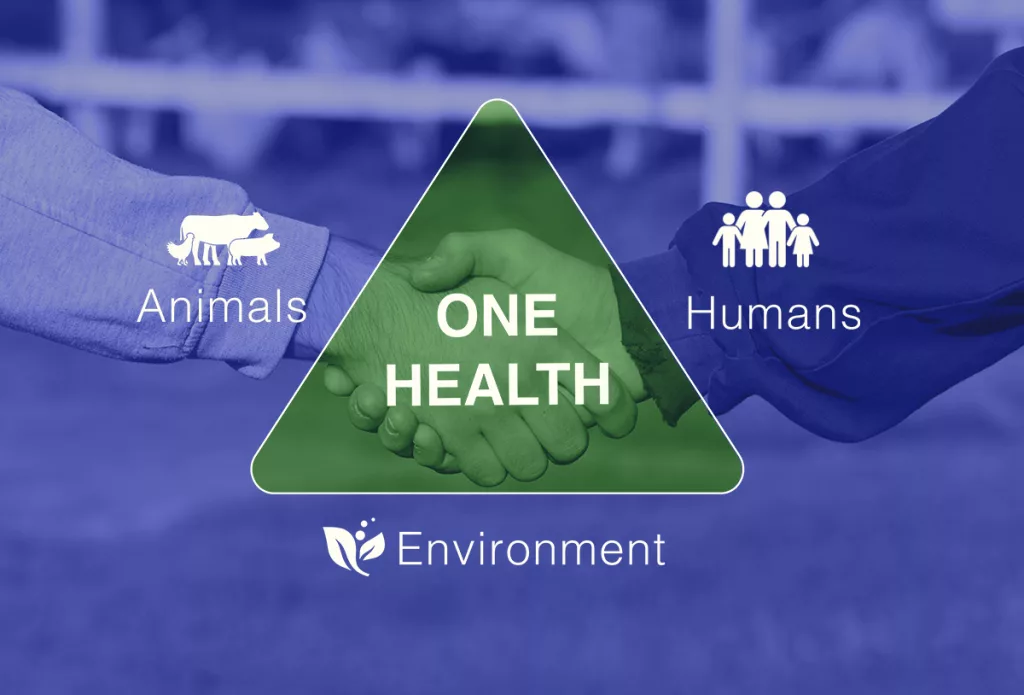 One Health. Animals, humans, environment