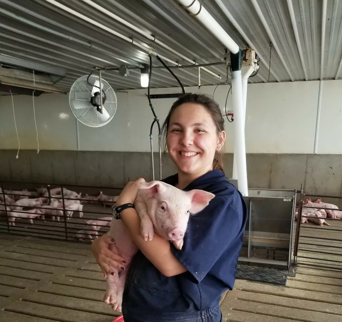 Dr. Dorman Asks: Up Close and Personal with Piglets