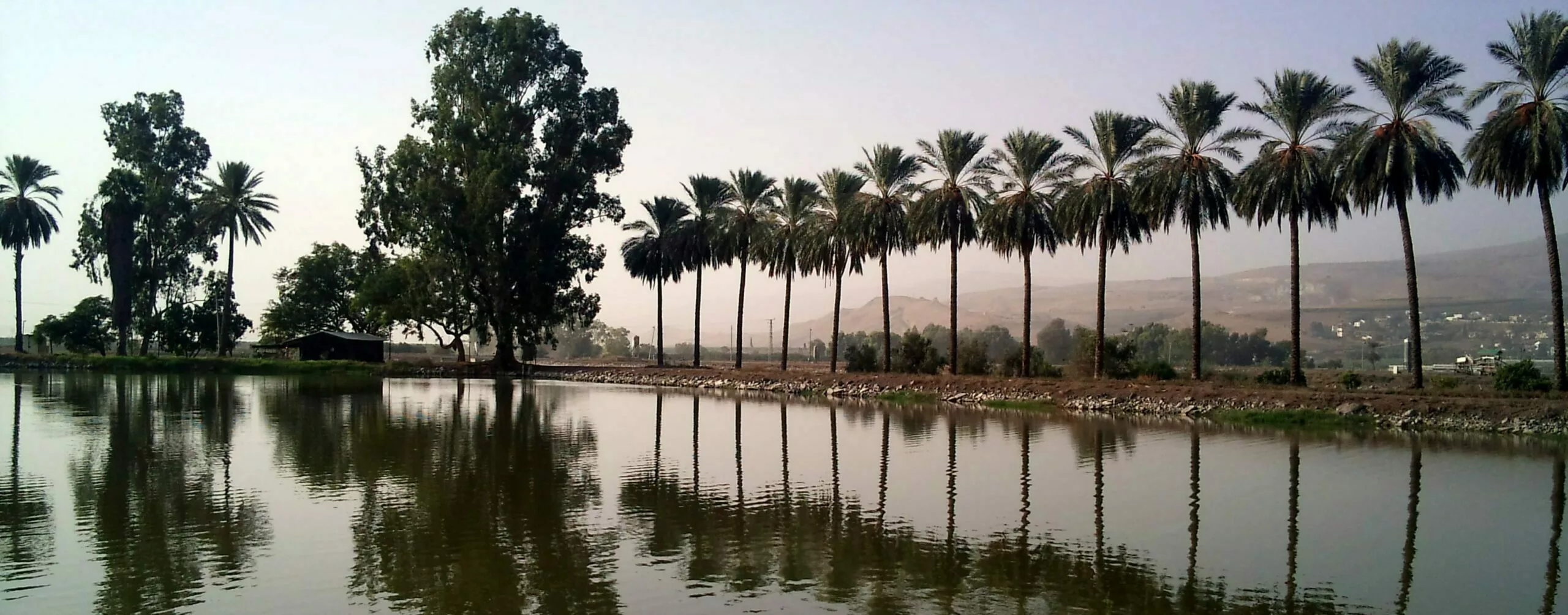 Let’s Dive In: Part 4 – Is Fish Farming Sustainable?