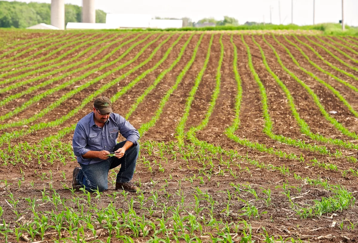 Talk is Cheap: These Farmers Ain’t Just Talkin’