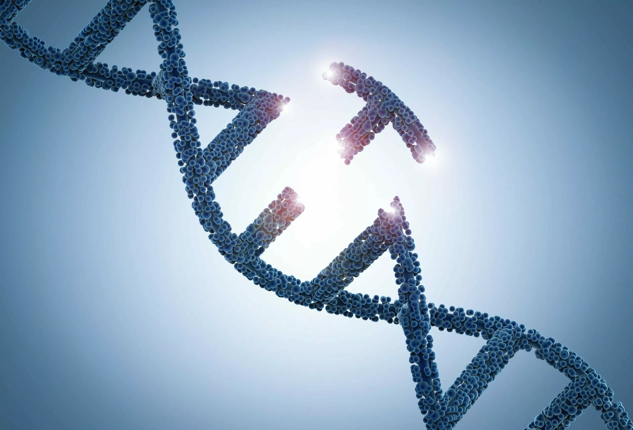 The Promise of Gene Editing for Animals & People
