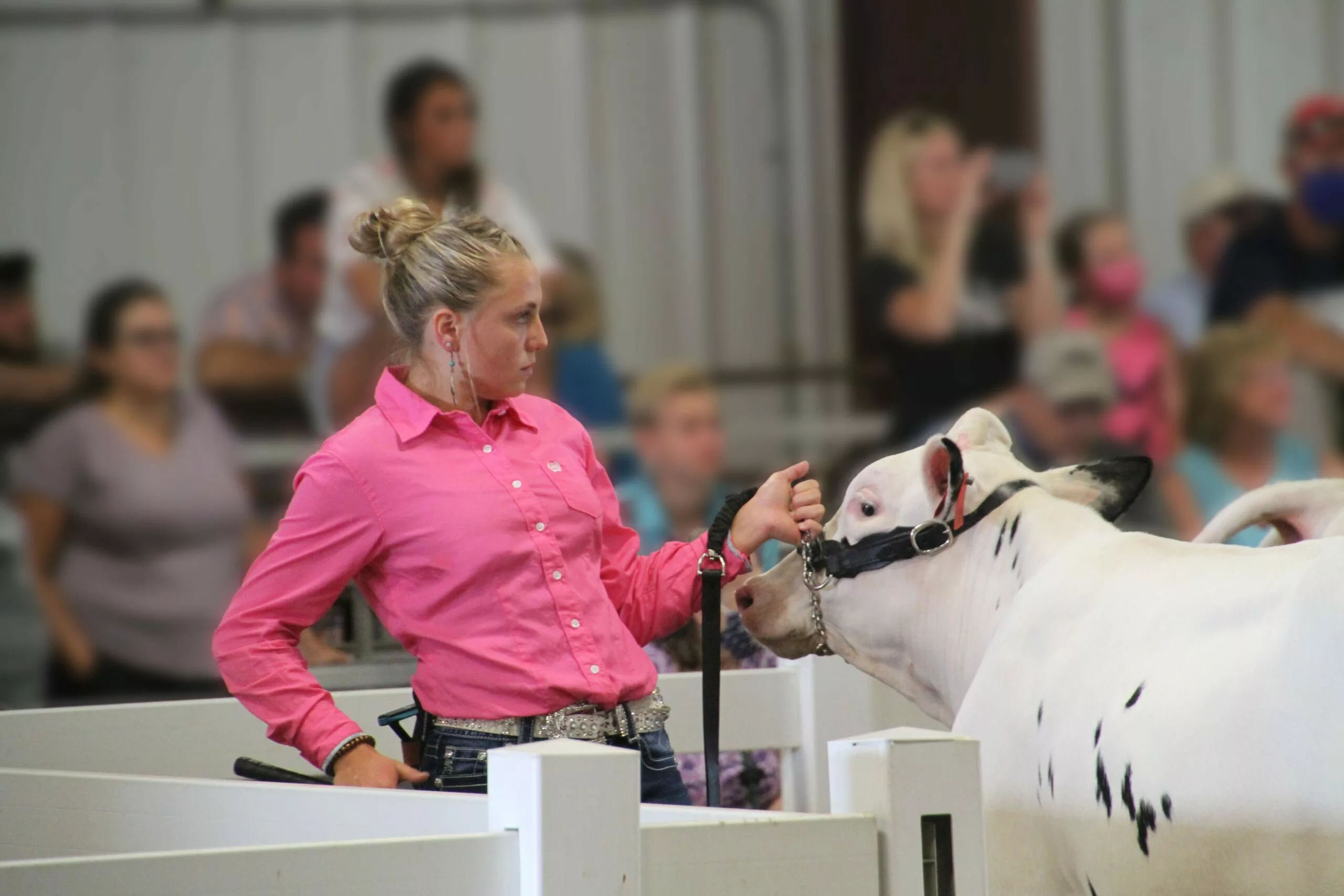 Cancelled Fairs - Missed Conversations