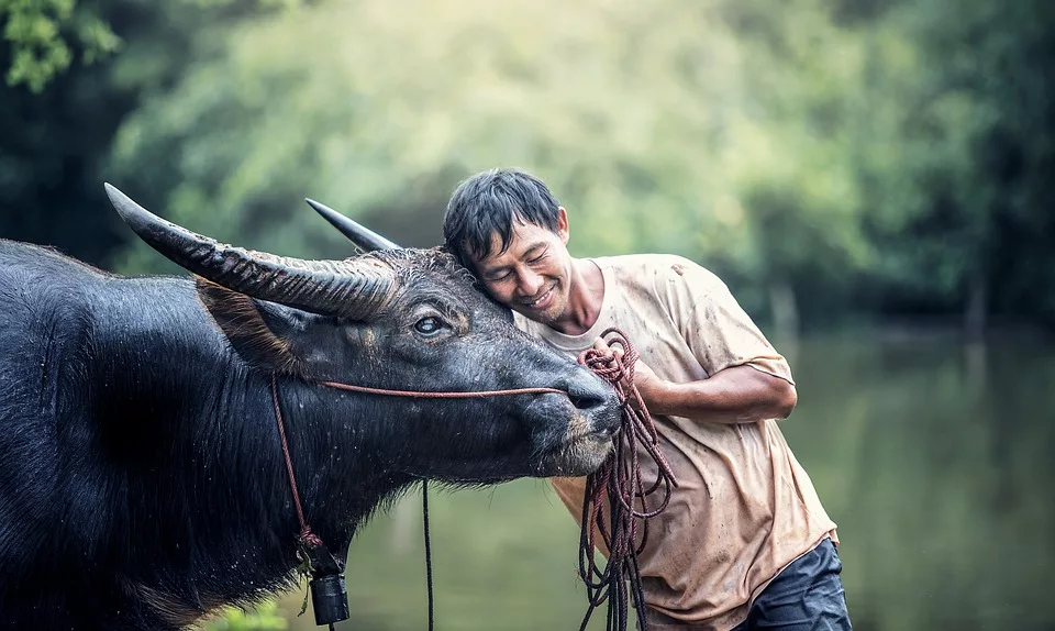 Are Healthy Animals the Key to a Healthy World?
