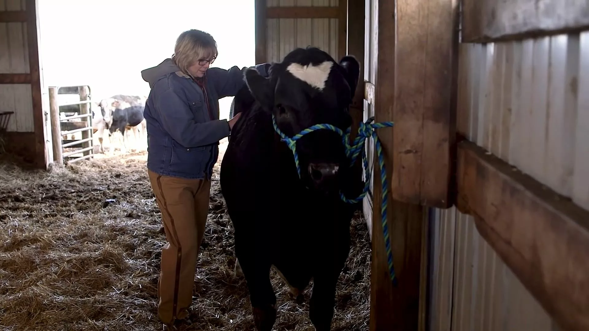Healthy Animals = A Healthy Planet: The Ripple Effects of Sustainable Farming