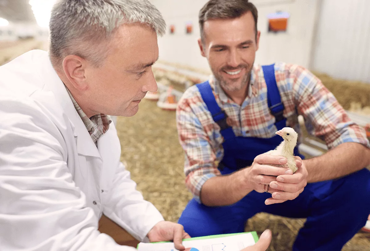 How are antibiotics in agriculture being used in 2017?