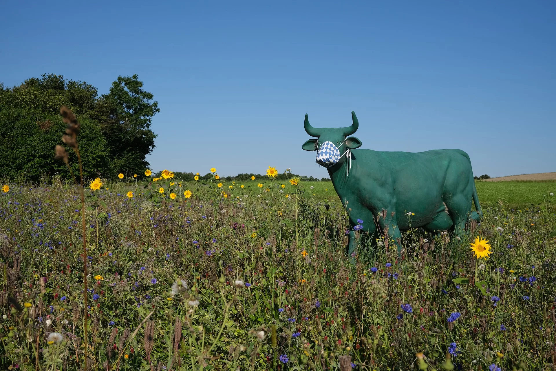 Masked Cows? A High Five for High-Tech