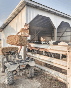 The-Washburns-Hay-Bale