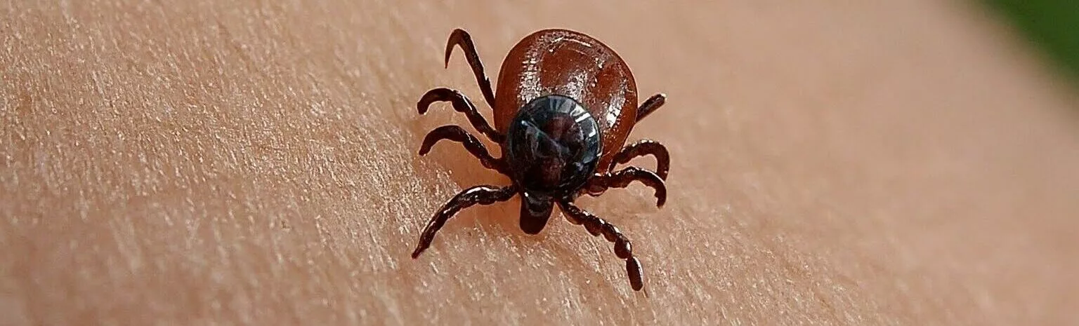 What is a Zoonotic Disease? When Animals Make Us Sick