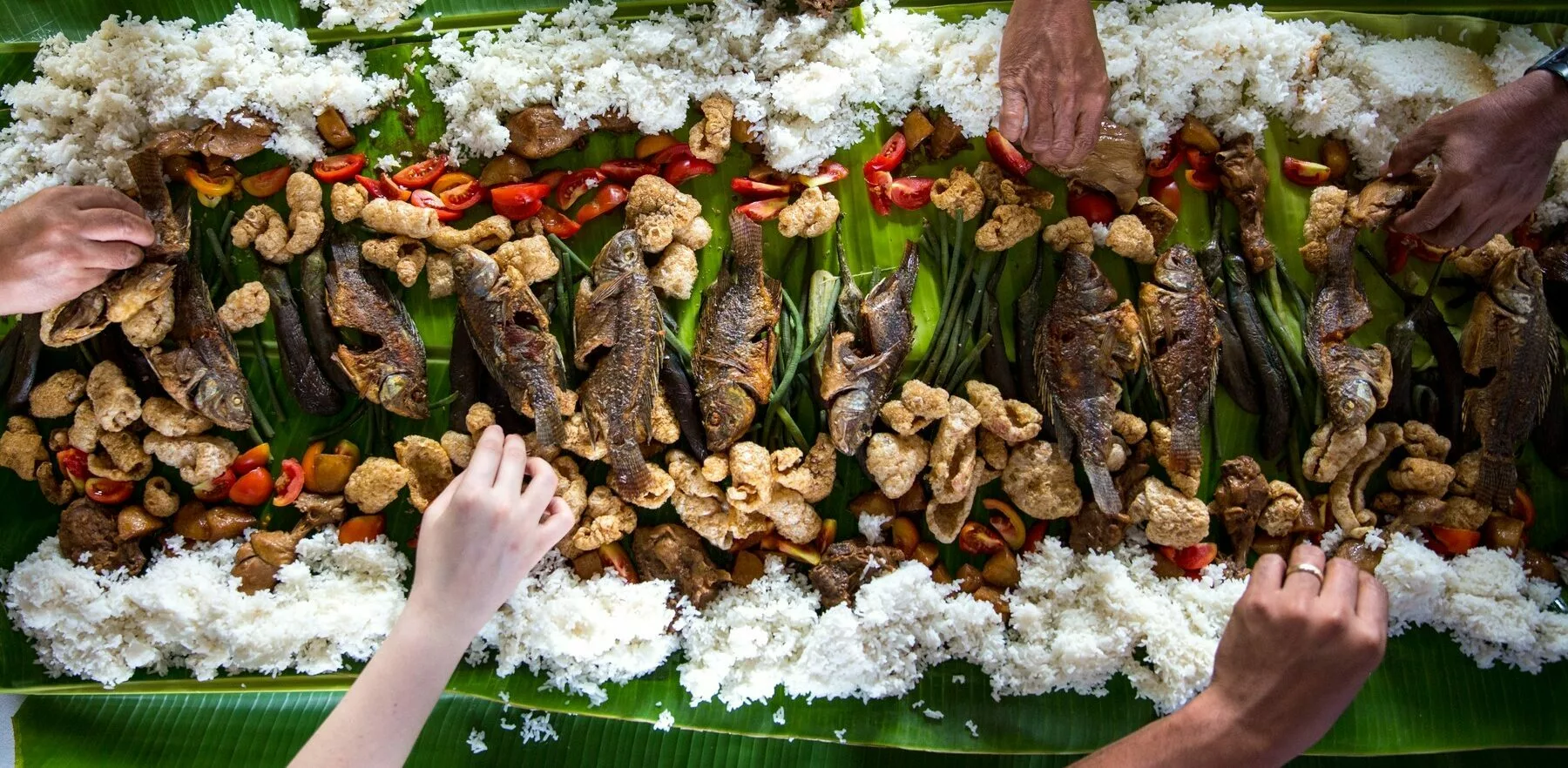 Let’s Dive In: Part 3 – Are Fish Raised on Farms Healthy?