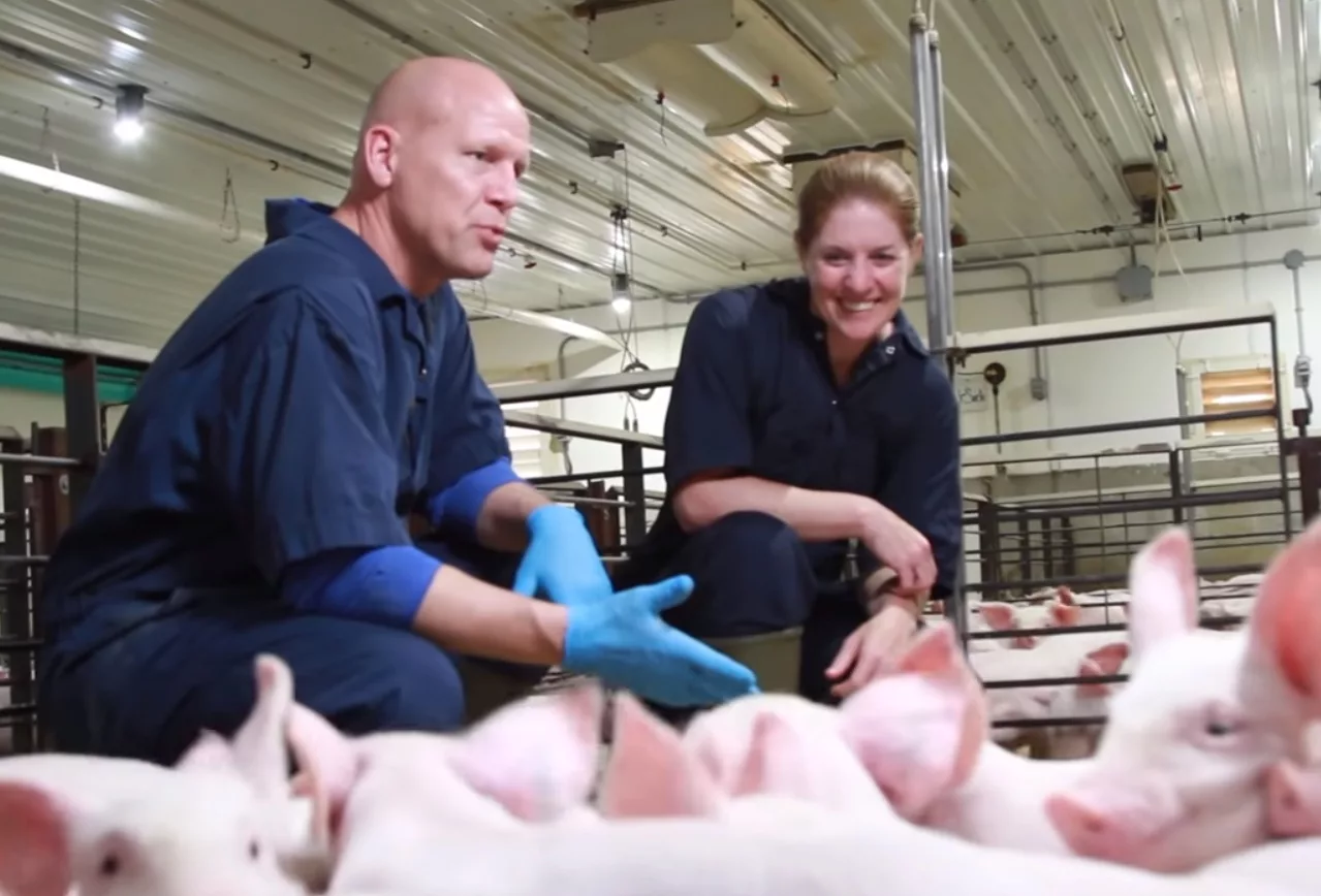 Antibiotic Stewardship: What it really means