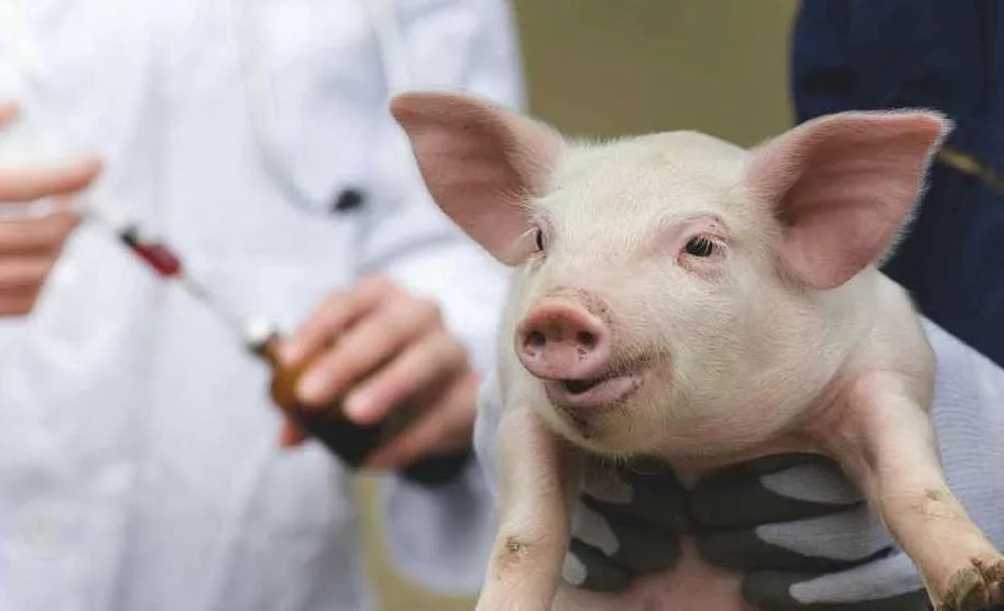 Test Your Knowledge During Antibiotic Awareness Week