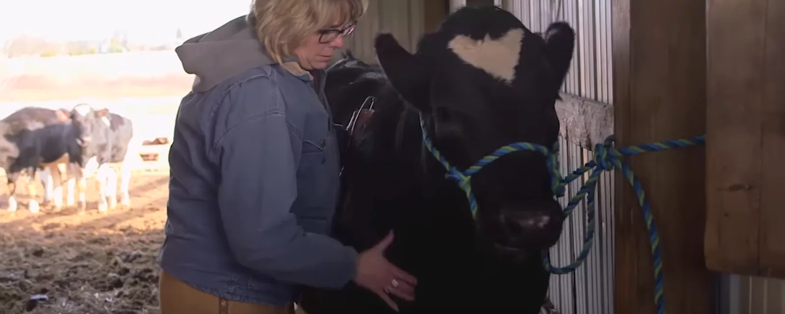 Preventing disease is a big part of a veterinarian’s ethical obligation